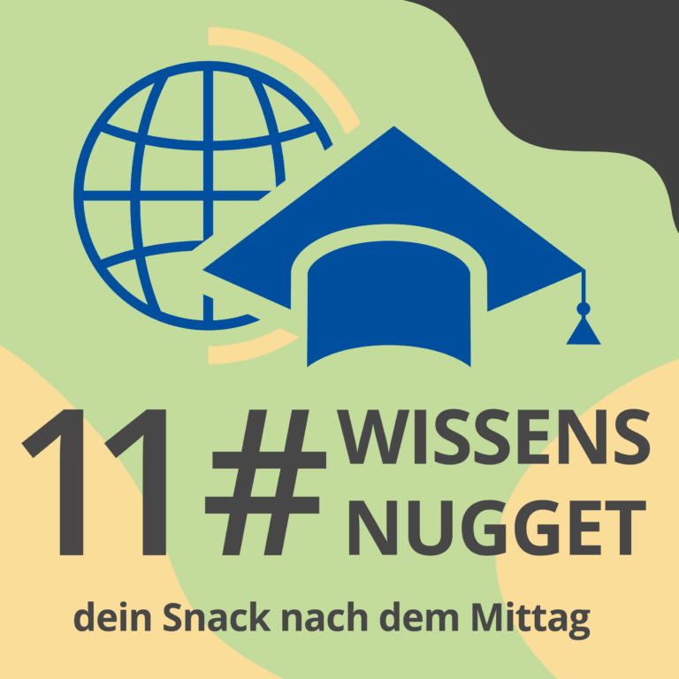 2511_11_Wissensnugget